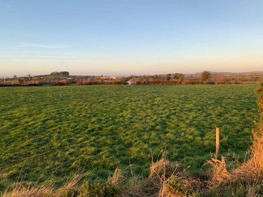 'Exceptional' portion of Golden Vale land for sale