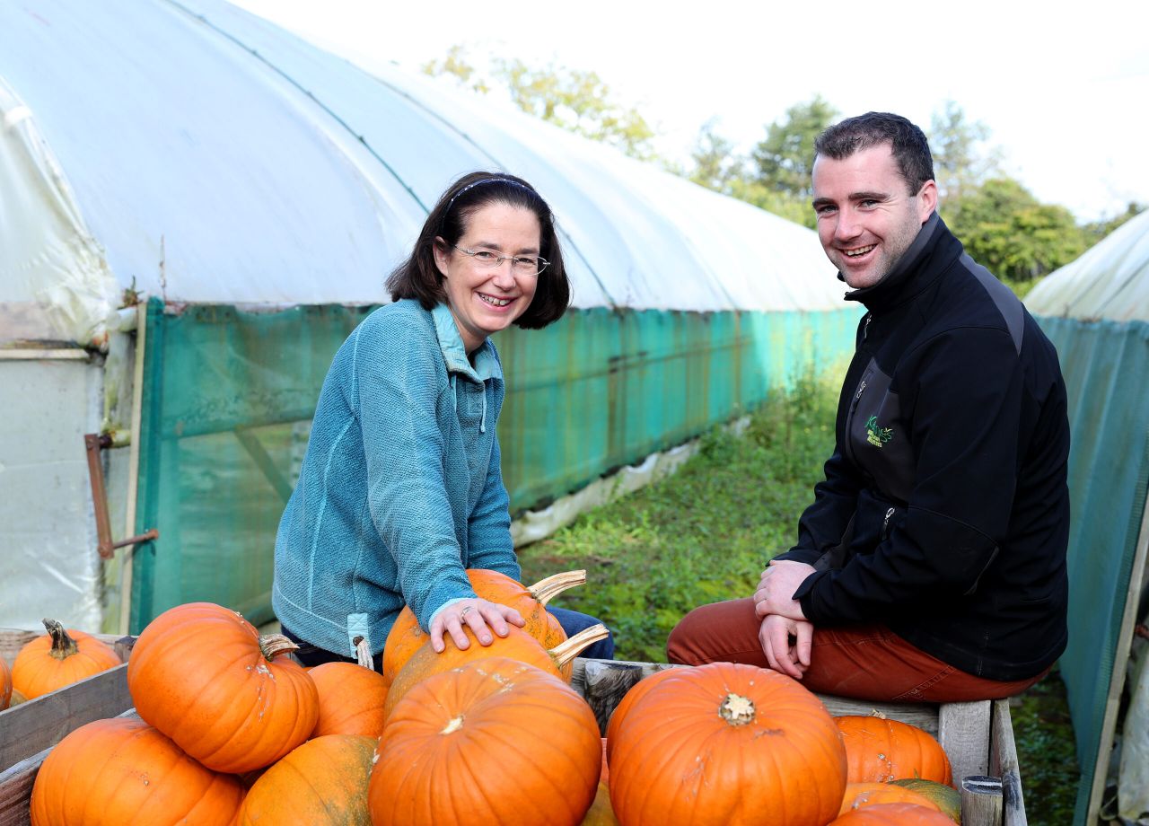 Dublin pumpkin grower carves out a busy lifestyle