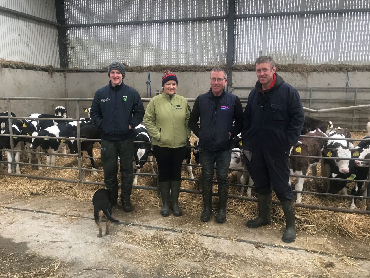 Dairy Focus: Milking 440 cows in the heart of the rebel county