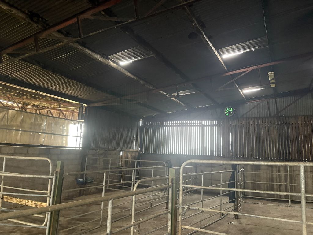 Pens will be deep bedded with straw before the arrival of the calves