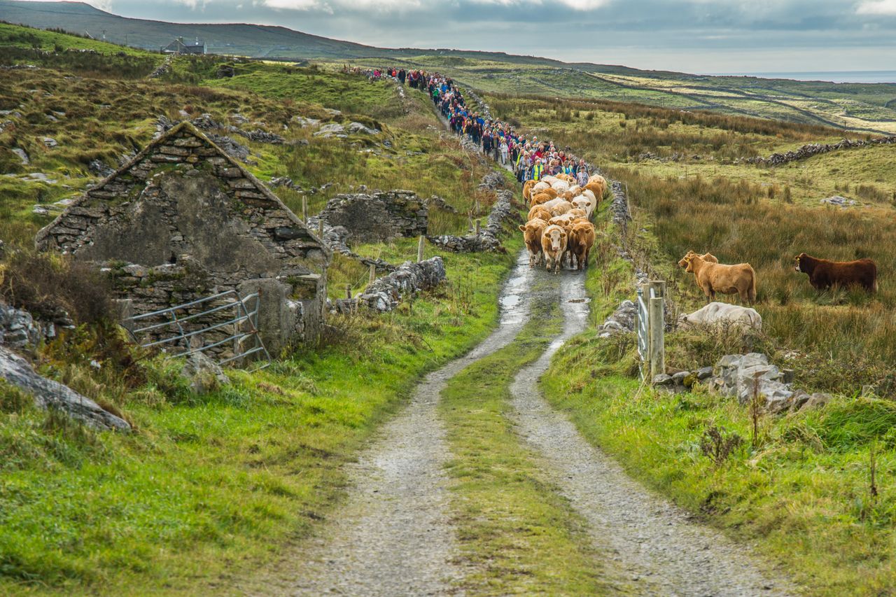 Minister 'working closely' to develop bonus structure for Burren farmers
