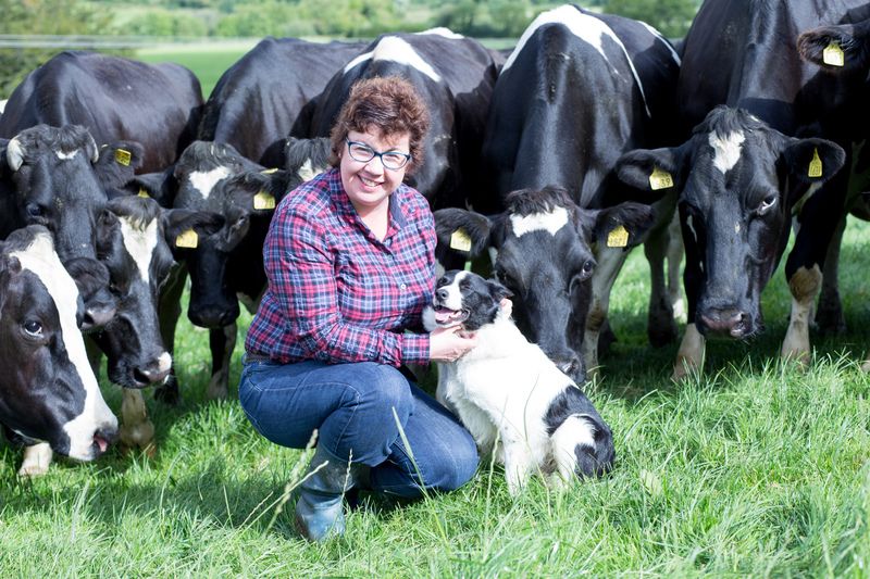 Three generations of farming at Crettyard inspires Sixsmith's new book