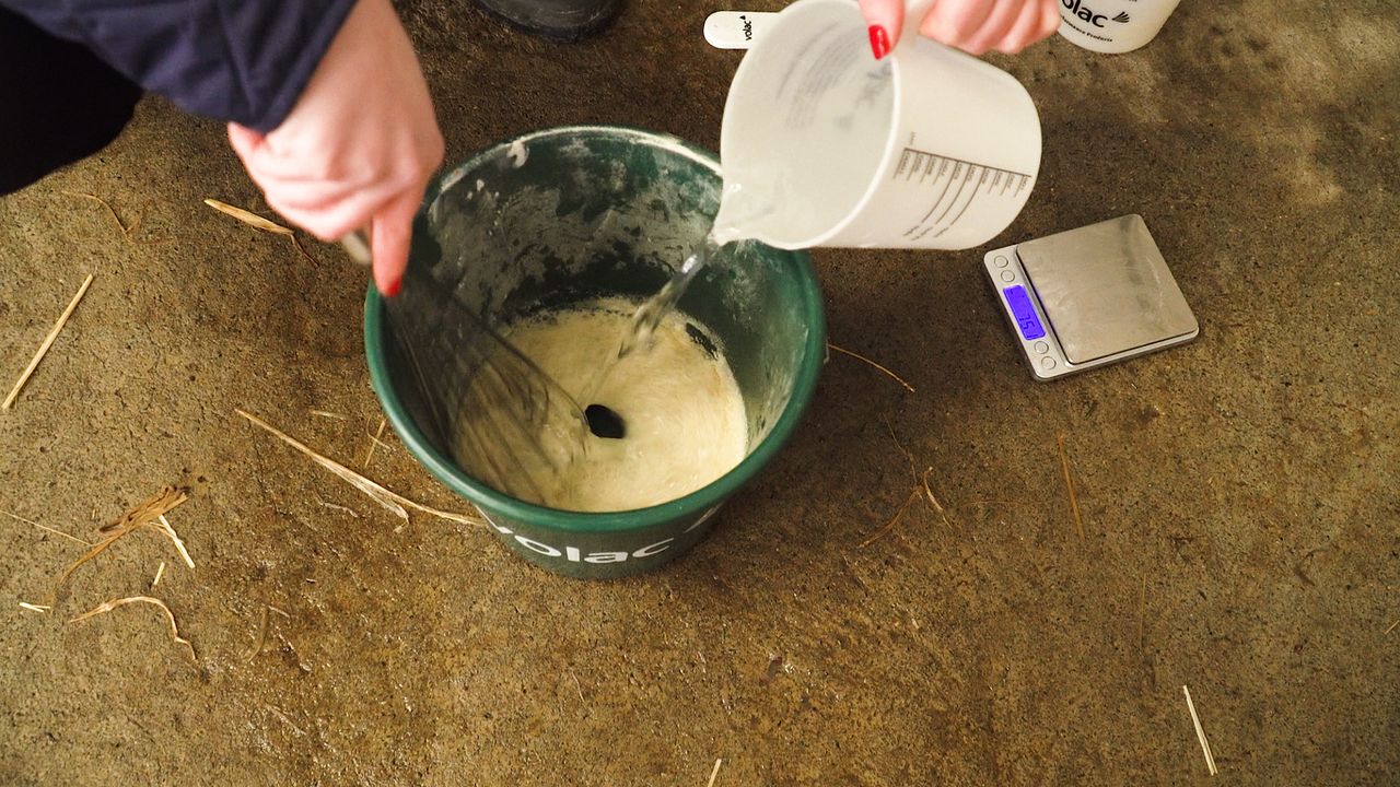 Key points to look for in a milk replacer this spring