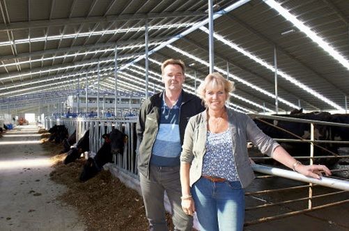 Milking starts on world’s largest robotic dairy farm
