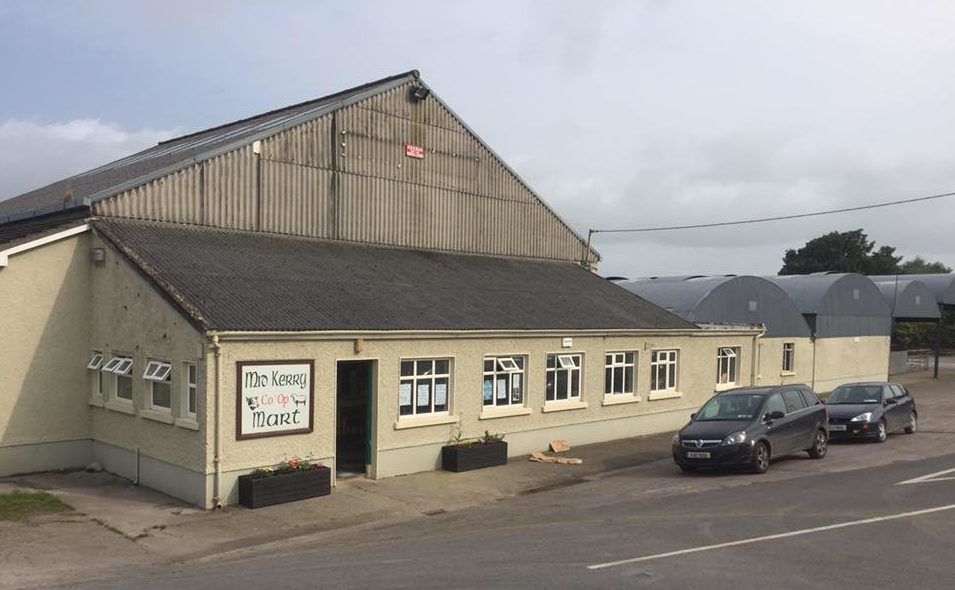Mart report: Trade boom continues at Milltown as lambs break €5/kg