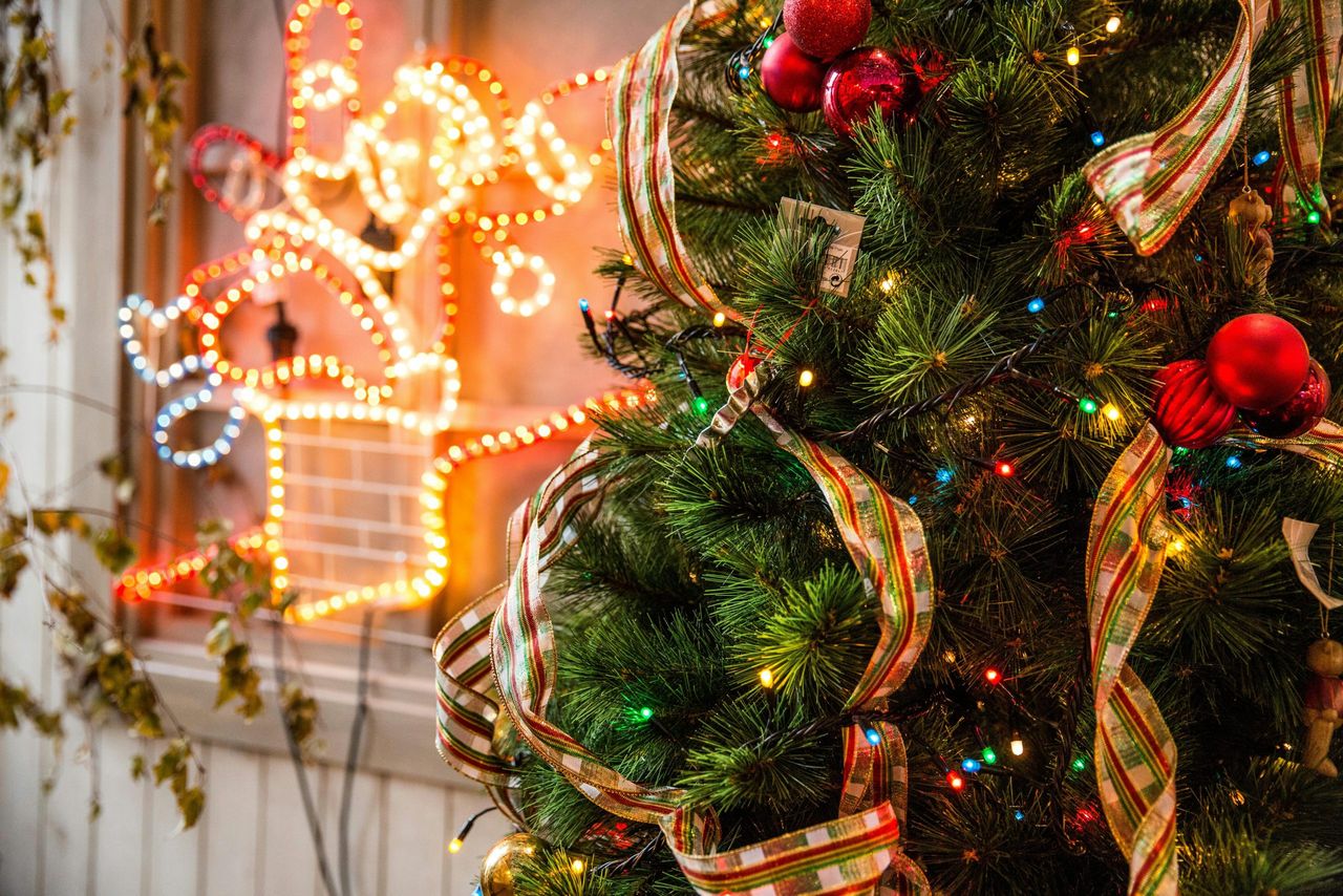 Find out where to recycle your Christmas tree for free