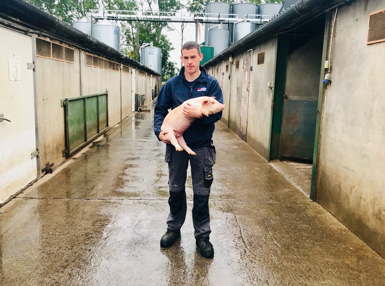 As great market of China opens up, Irish pig farmers seek stronger ASF defences