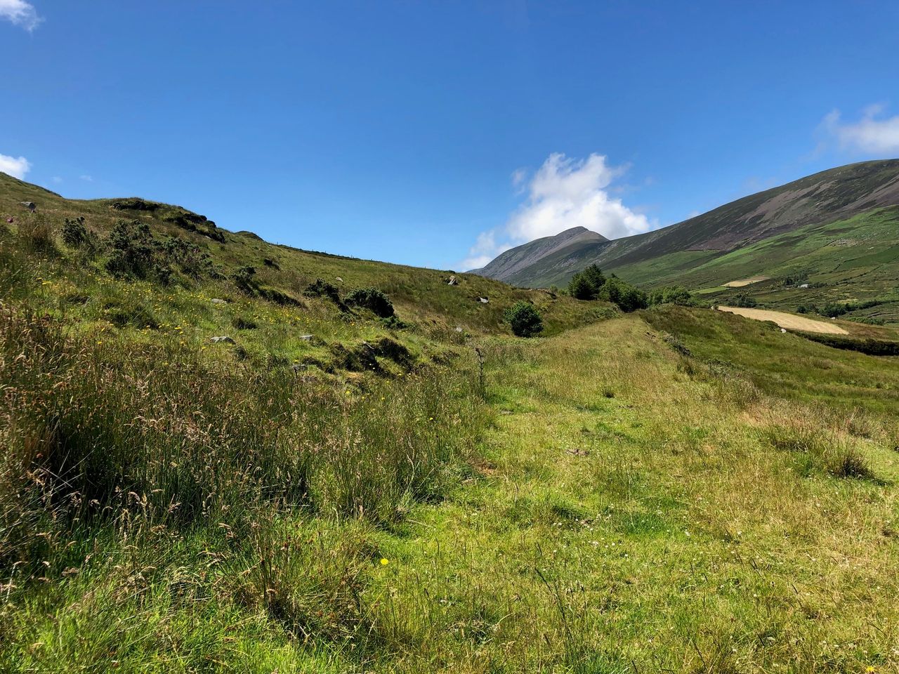INHFA claims greenways 'running out of steam' due to less users