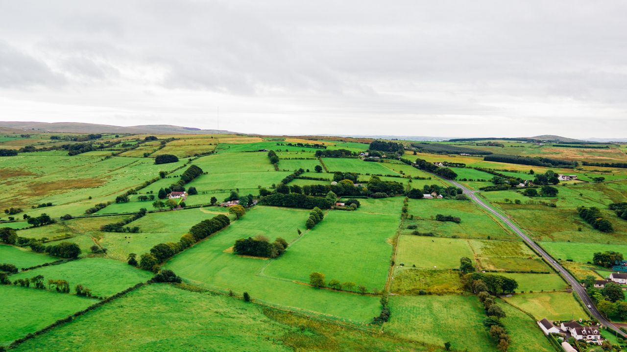 Emissions reduction target for agriculture to be 21%-30%