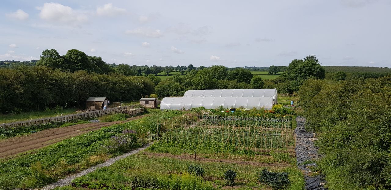 'Interest surge in local food grown using regenerative methods'