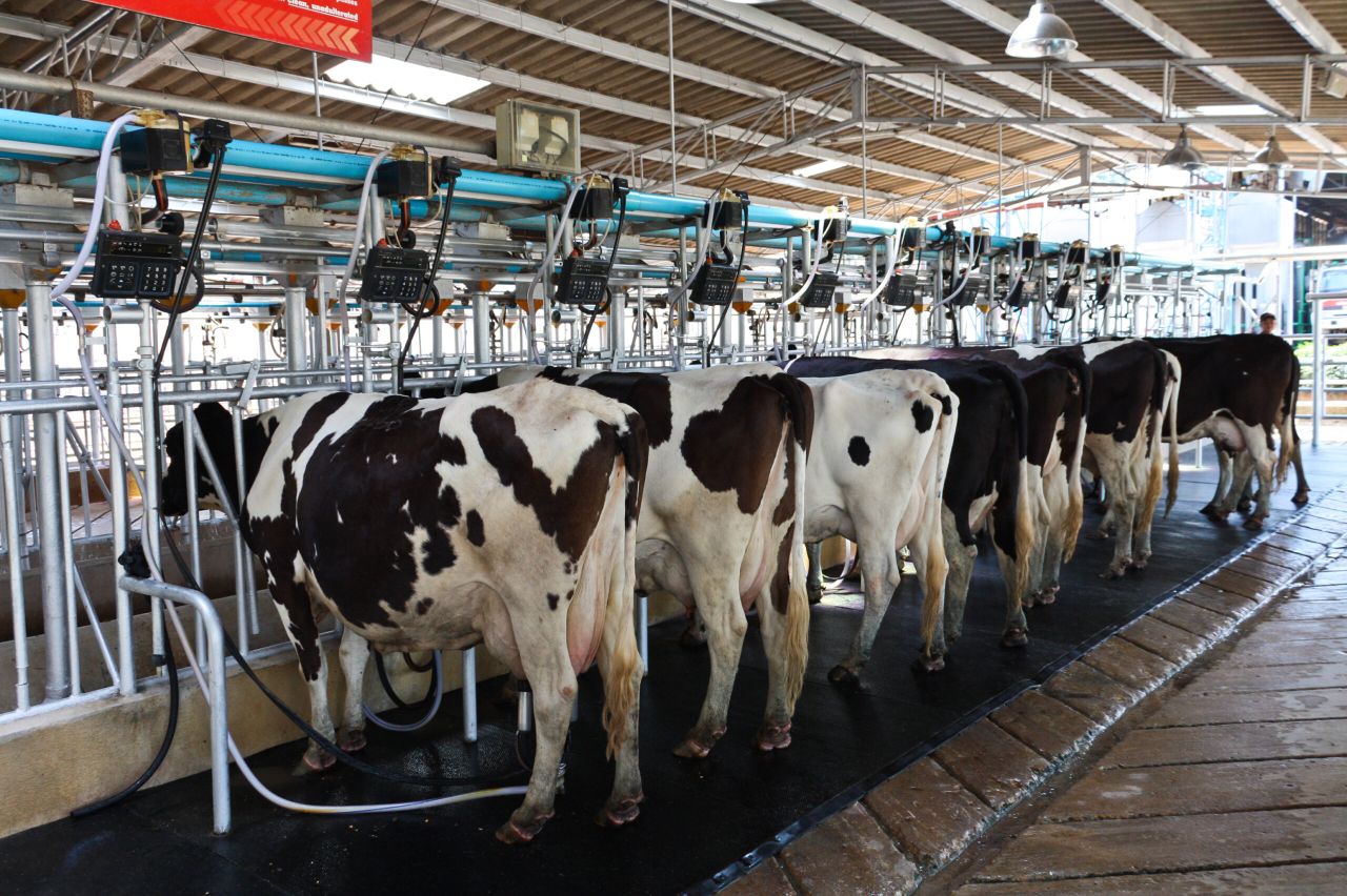 Call for more co-ops to address fixed milk price contracts