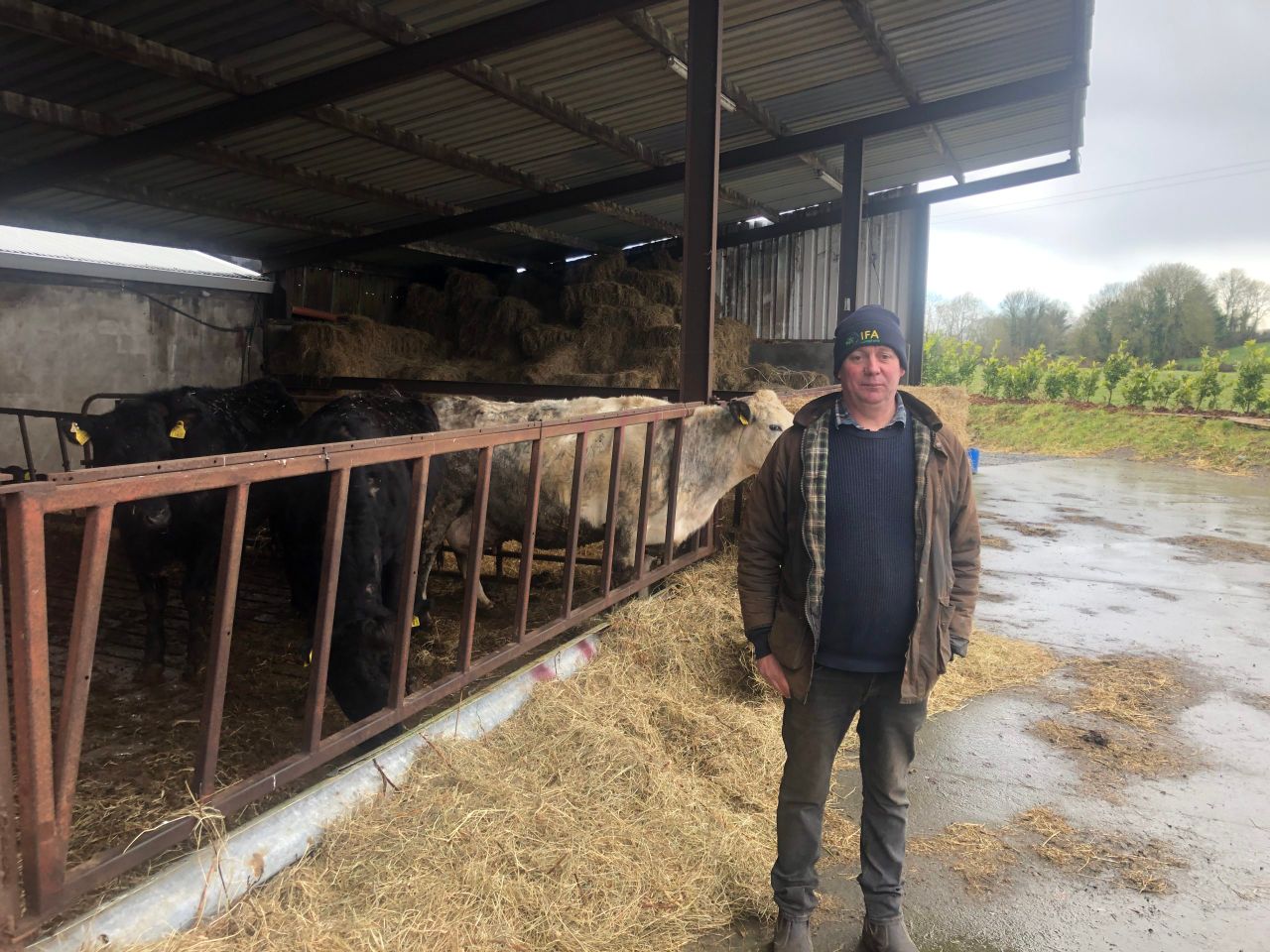 'Silage bales could cost over €40 next winter' - contractor