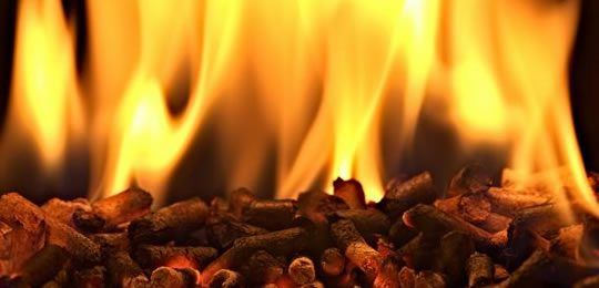 Tyrone farmer gets over £600,000 from NI heat scheme...using 13 boilers