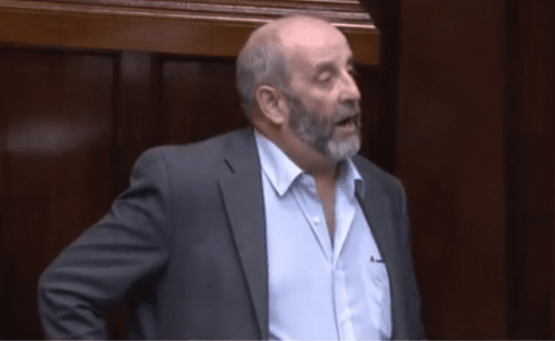 Healy-Rae: 'Outlandish' to consider deal with Mercosur