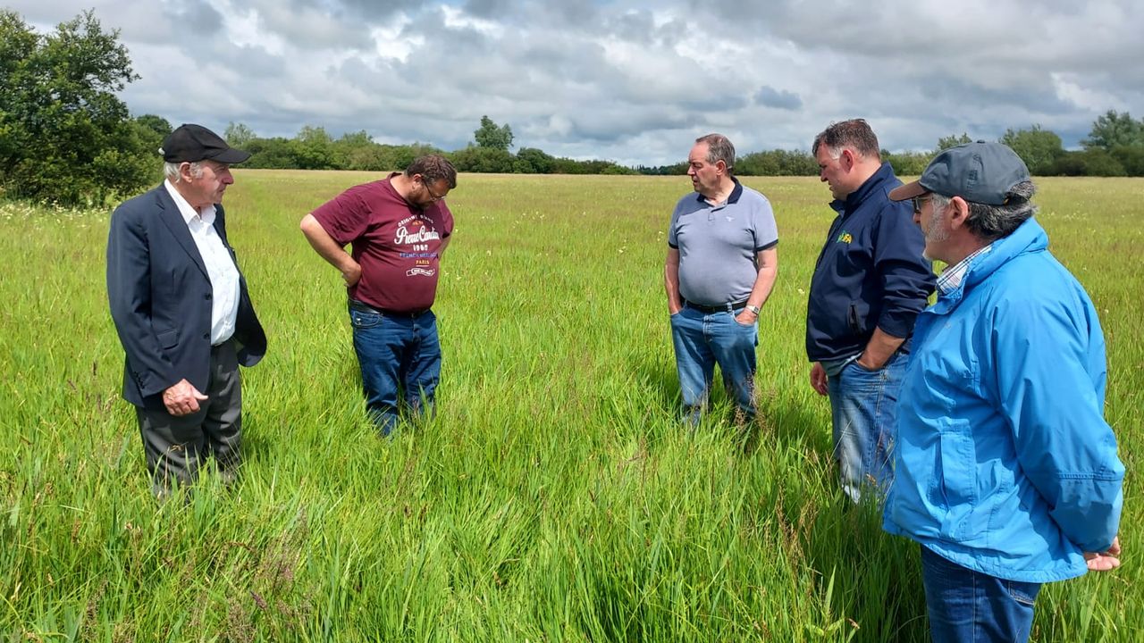 IFA urges OPW to manage Shannon water levels to save crops