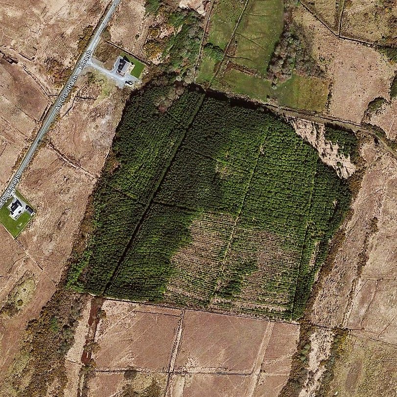 Forest land with potential in Co. Galway up for sale