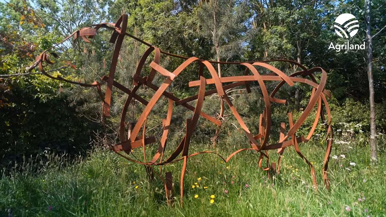 Agri-inspired gardens on display at Bloom's 20th anniversary