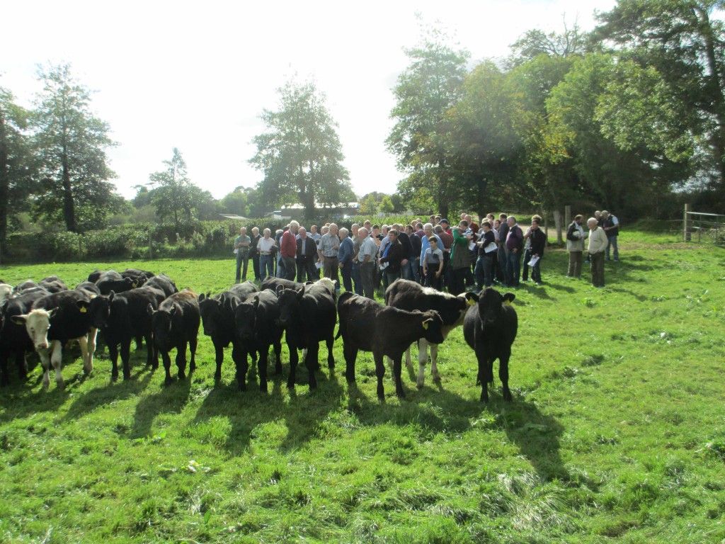 Discussion Groups: 5,000 dairy and 7,000 beef farmers to be accepted this year