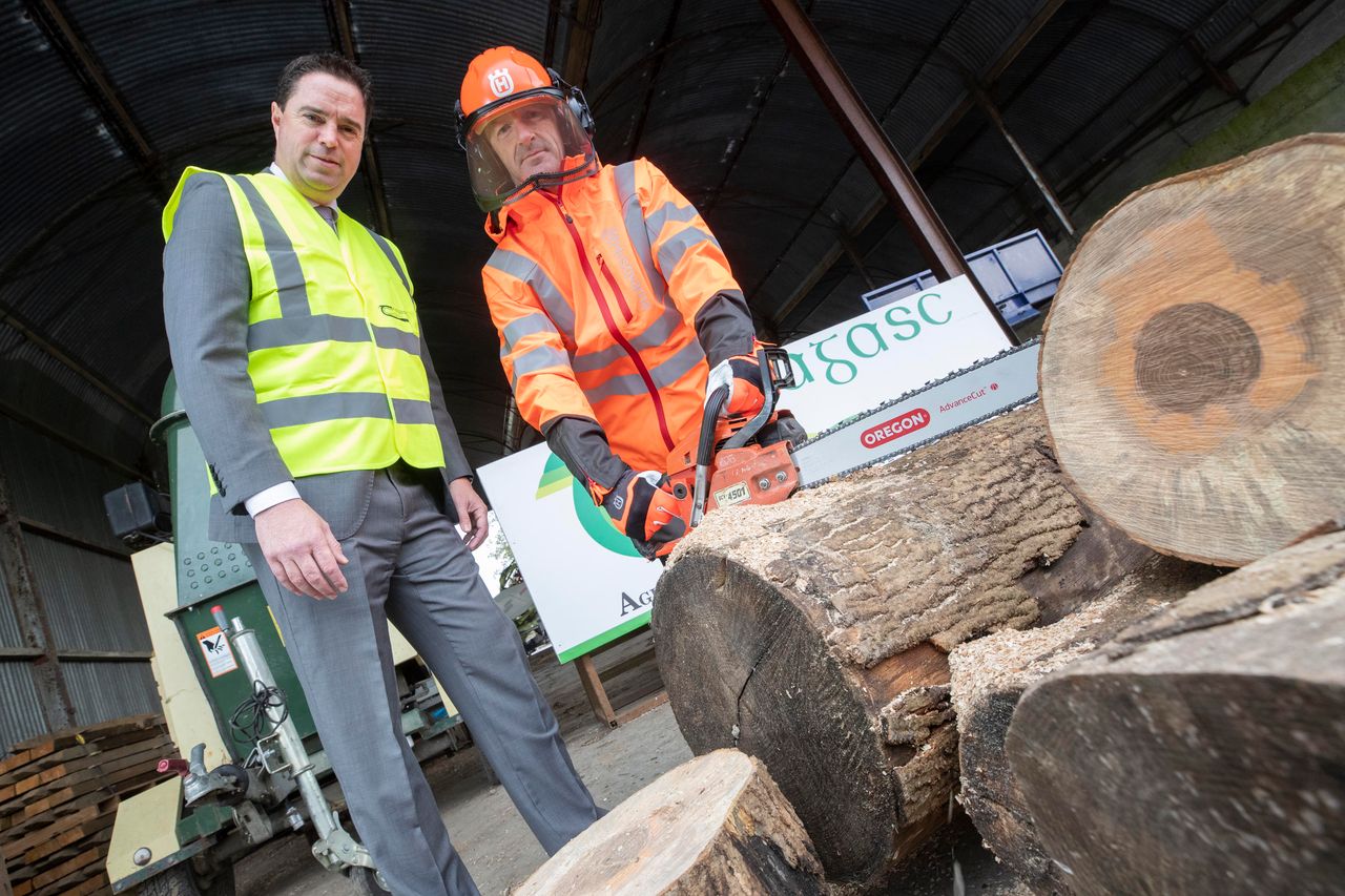 New video launched on chainsaw safety