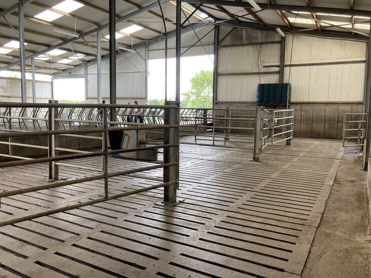 AgriFocus: Advisors don't receive DAFM slurry export texts