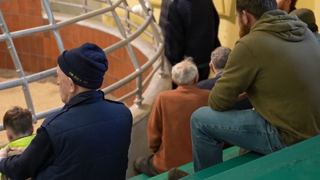 Watch: Catch up at the mart - farmers on the factors behind prices