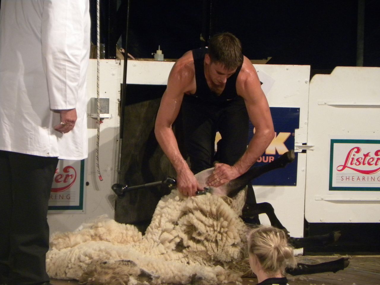 Whats on at Golden Shears: DAY 3