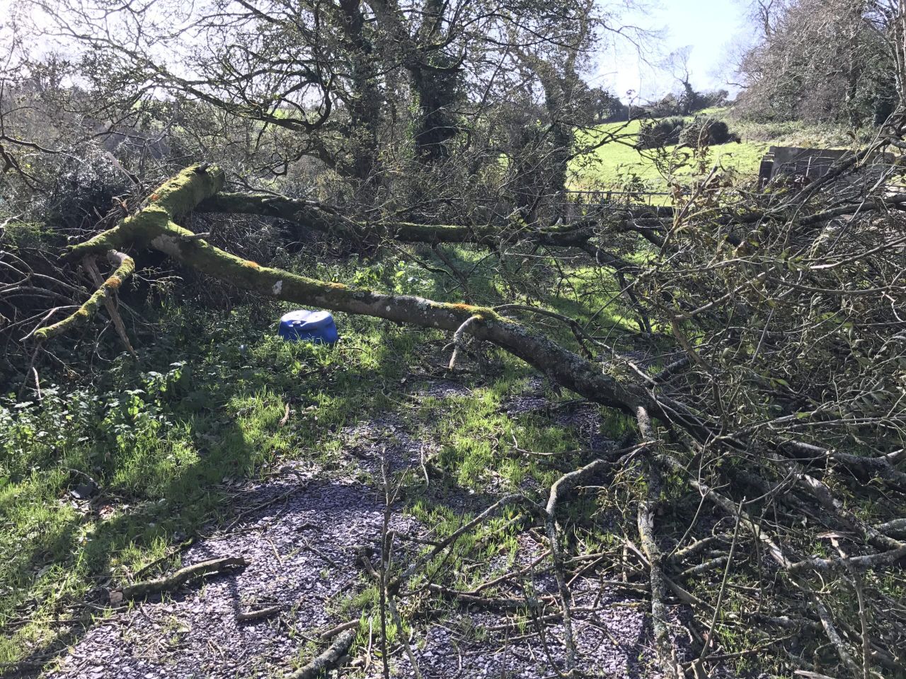 FBD to take €6 million hit following ex-hurricane Ophelia