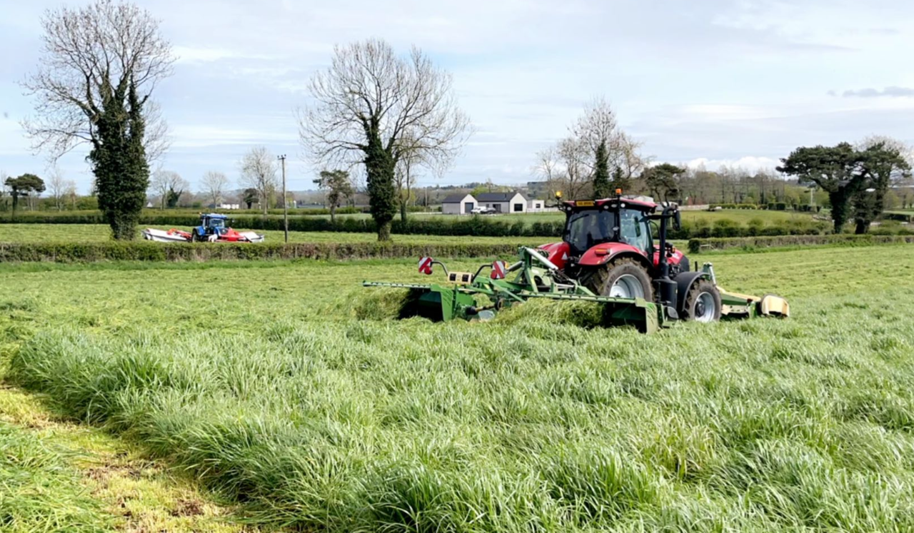 Spring planting now well underway in south Antrim