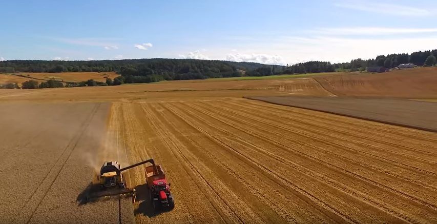 Video: Great footage of the wheat harvest in Norway last year
