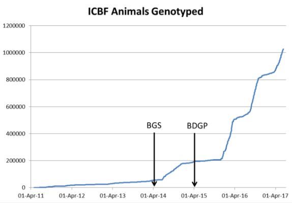 Source: ICBF