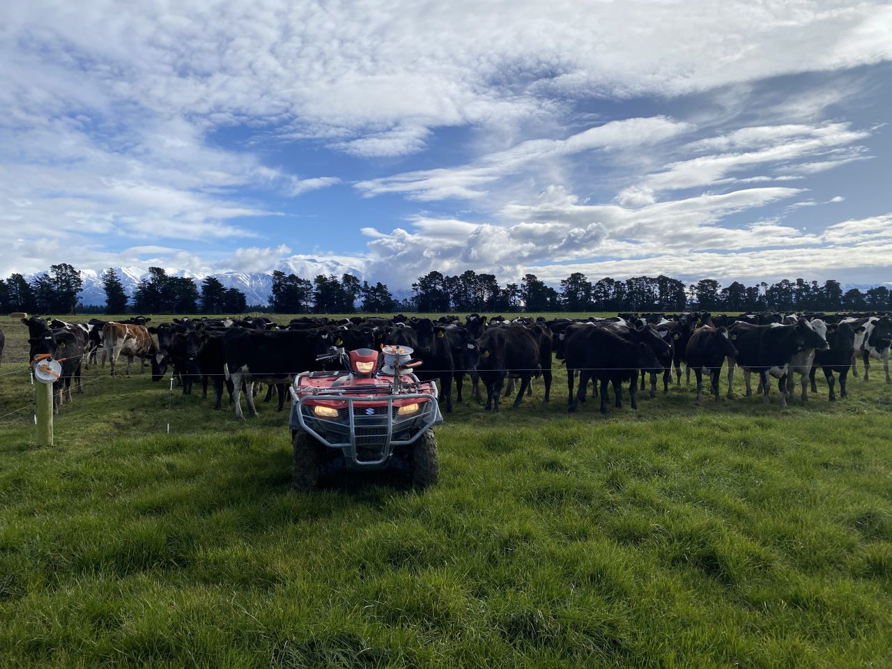 Grass growth: 20% of total annual grass still yet to grow
