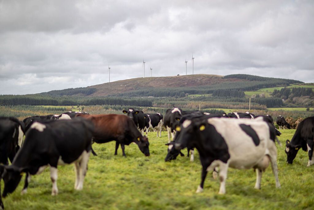 Quality Milk Awards 2020: Who are the Co. Cork finalists?