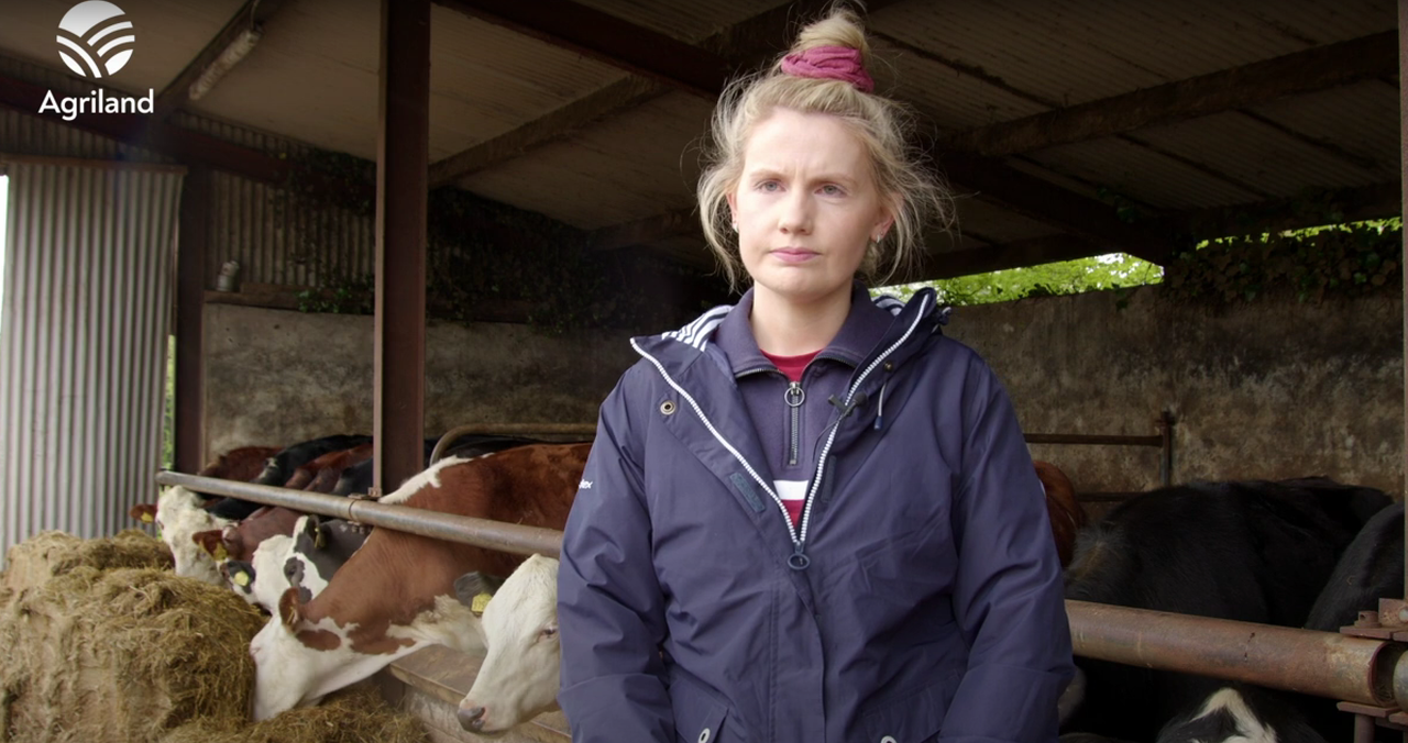 Sinn Féin calls on minister to meet sheep farmers on BAR funds