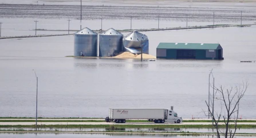 Grain price: Extreme weather in US continues to lead markets