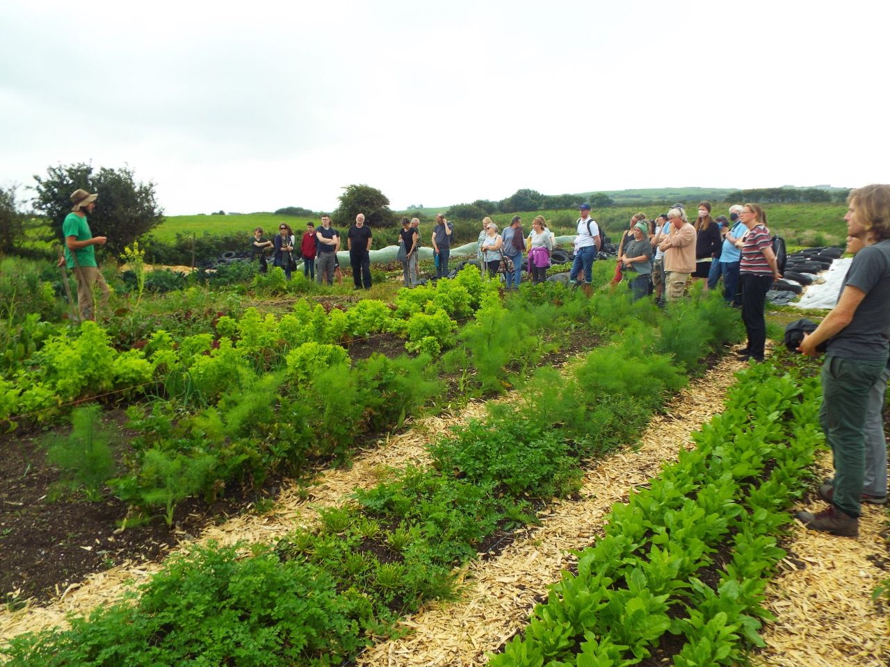 FFN farm walks to focus on regenerative agriculture next week