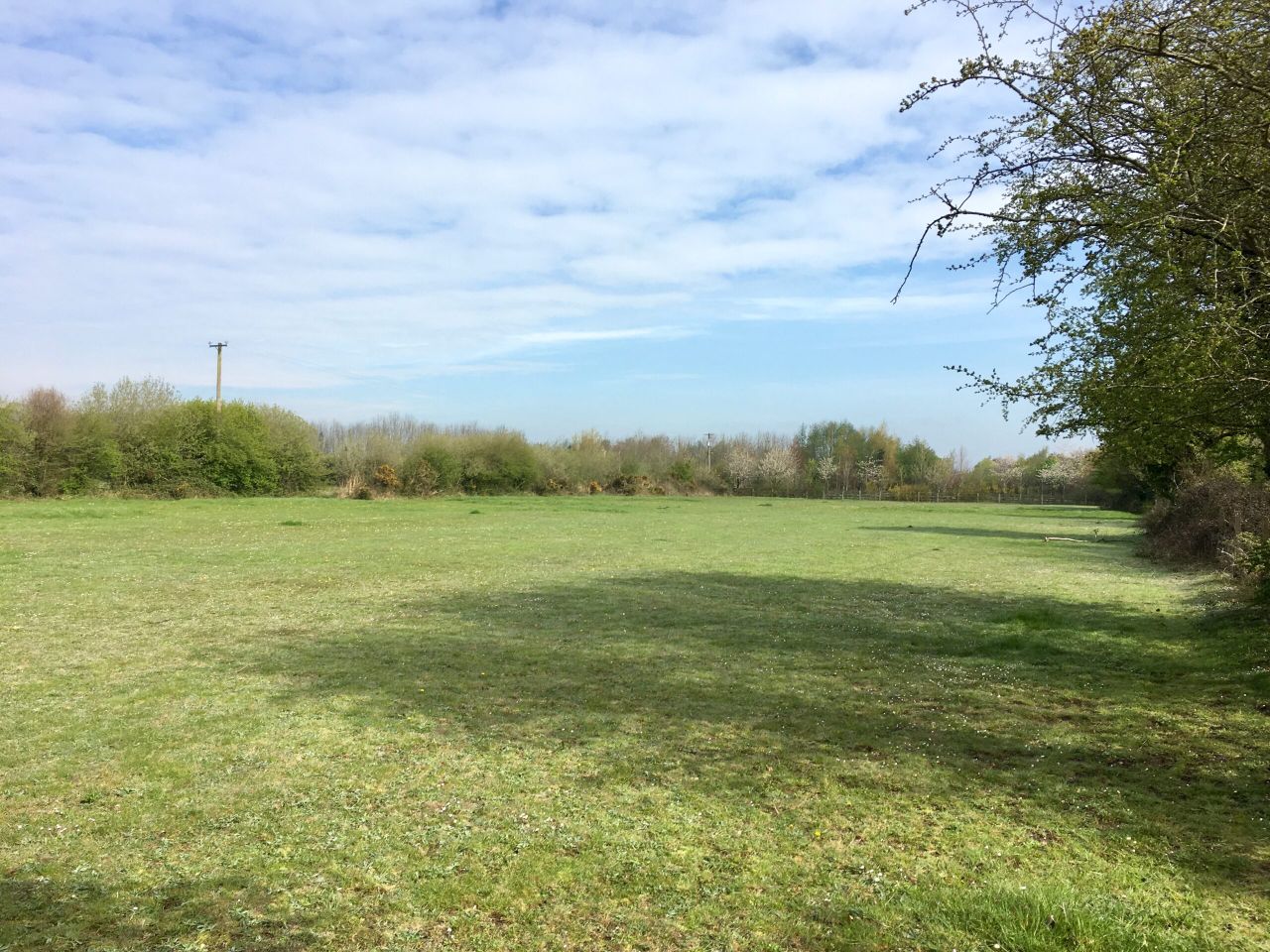 13ac of 'good quality' land for sale at Daars, Sallins