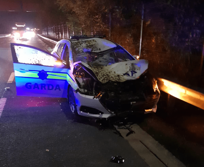 Collision with loose horse leaves 2 Gardai injured