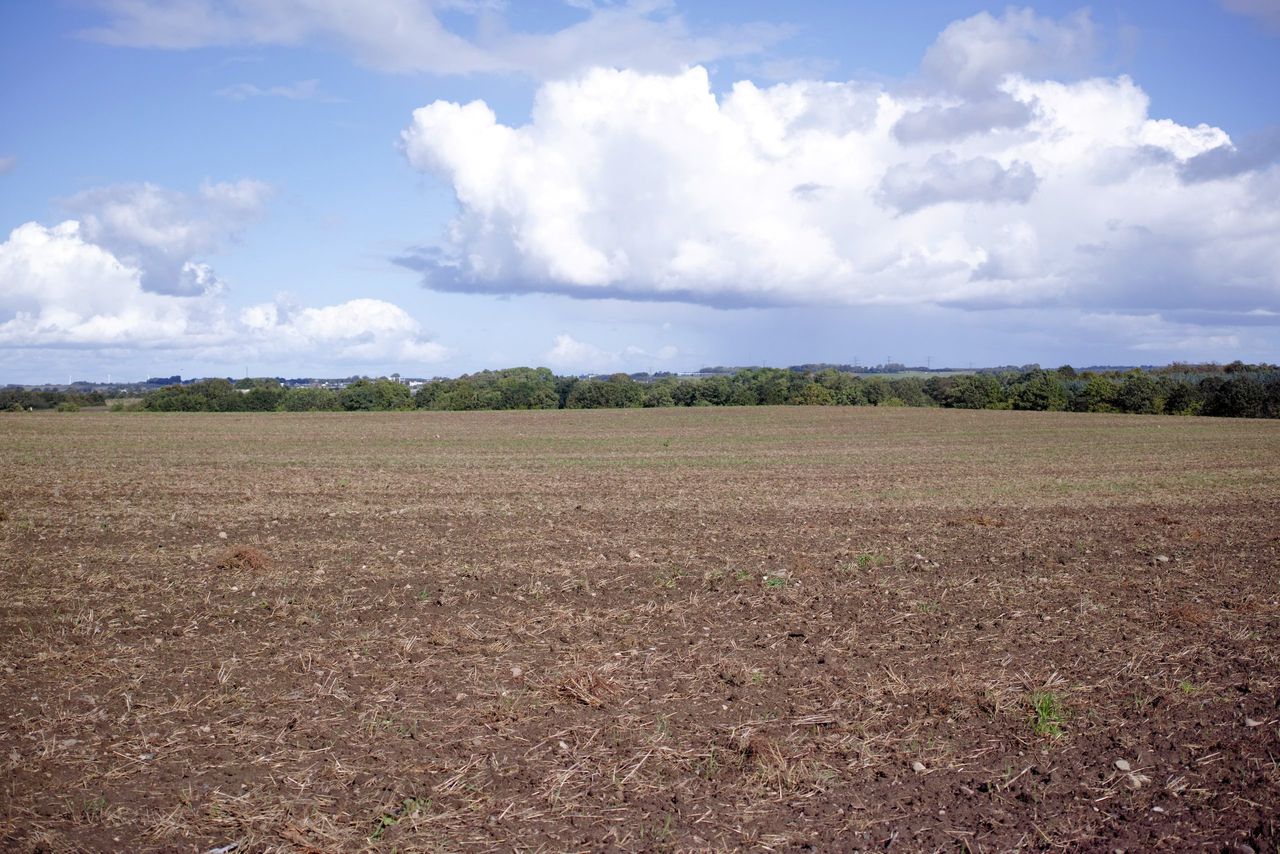 Met Éireann: Dunsany, Co. Meath had driest March in 61 years
