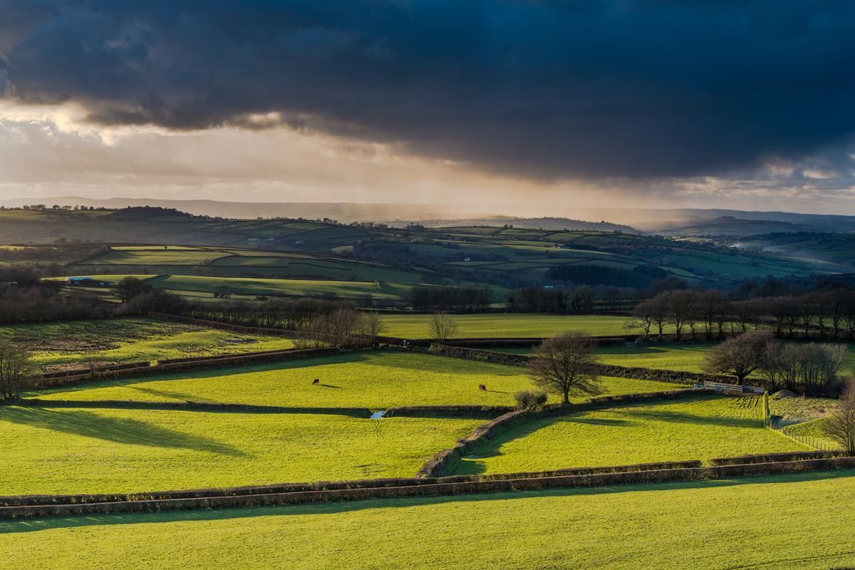 A humid week ahead and fresher weather in store next weekend - Met Eireann
