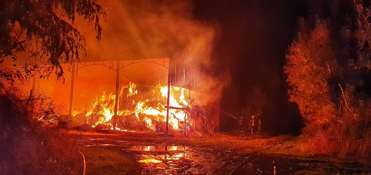 Gardaí investigating 'criminal damage' after Tipperary shed fire