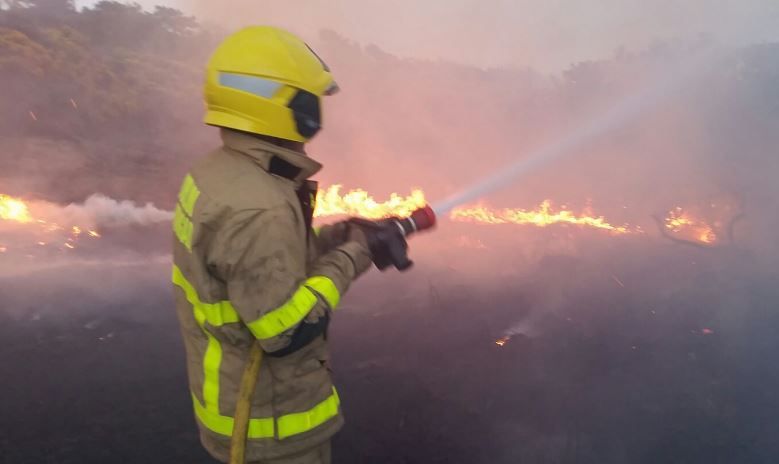 Extreme forest fire risk warning in place