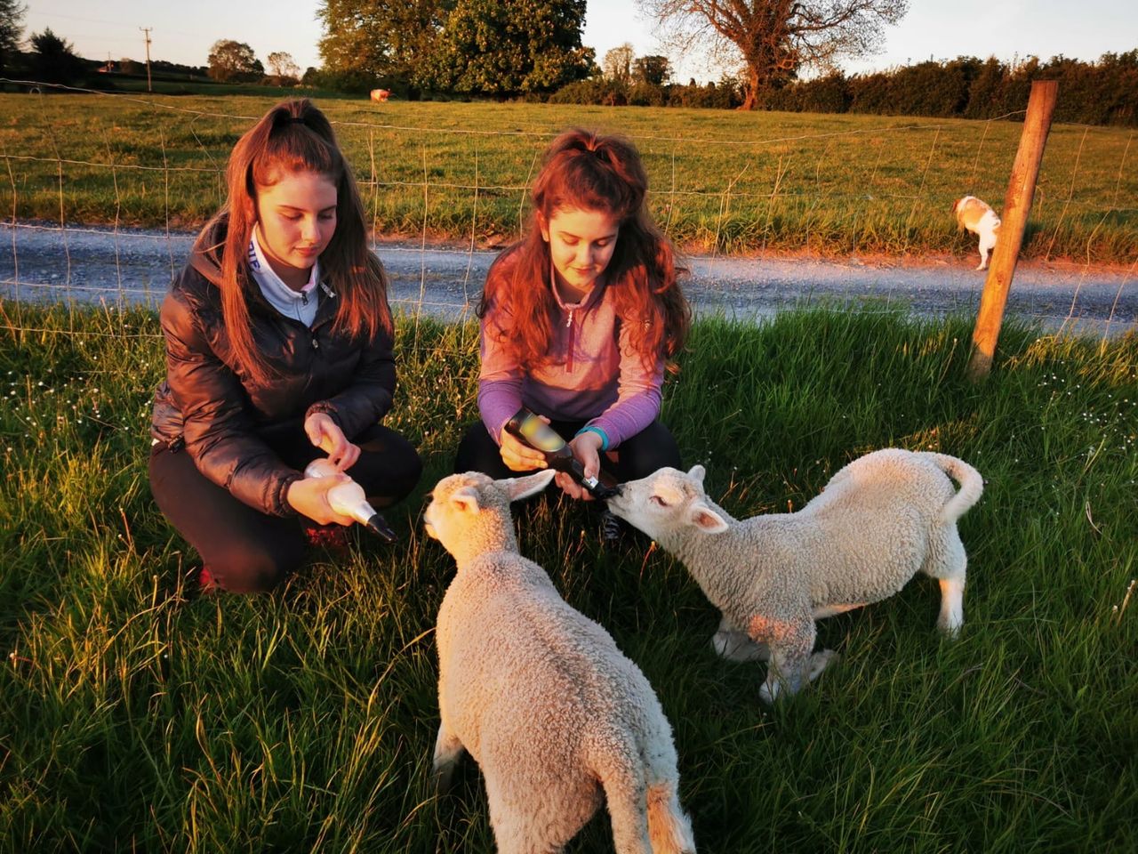 Leaving Cert liberation relief on double
