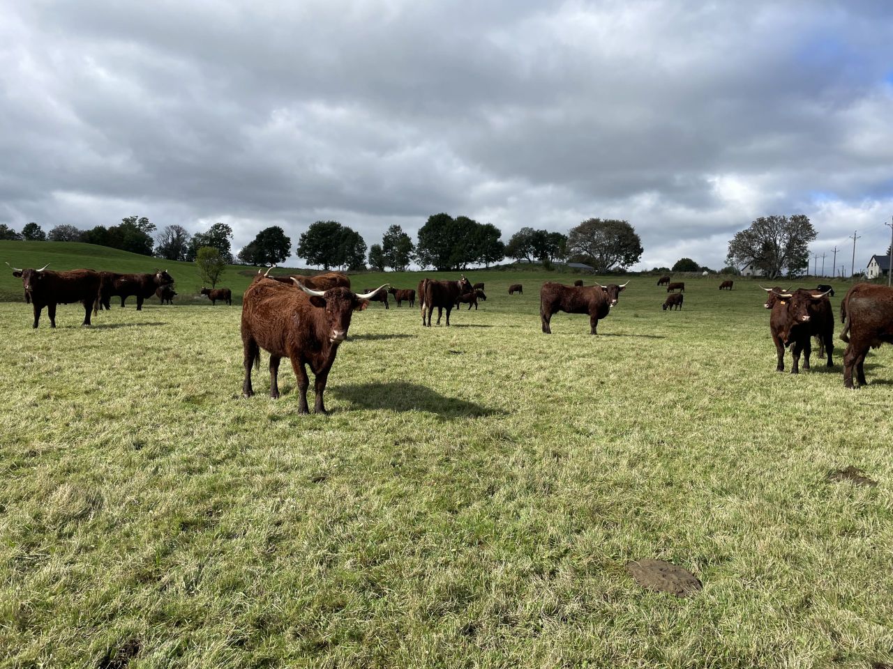 Lower-cost land prices noted during French farm walks