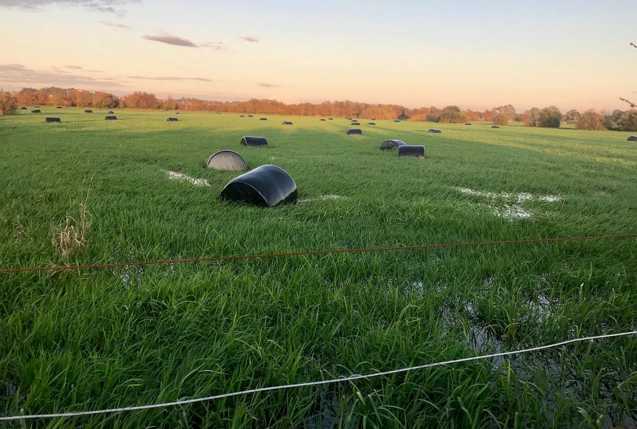 Grass growth: Heavy rain forces some farmers to house and feed silage