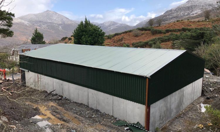Back In Focus: A new sheep shed on the foot of Dunkerron Mountains in Co. Kerry