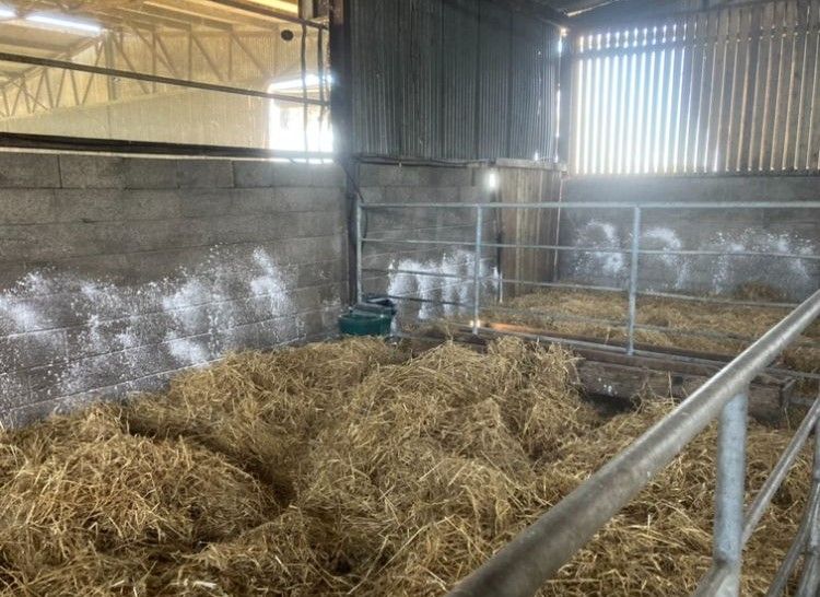 Pens ready for the arrival of calves