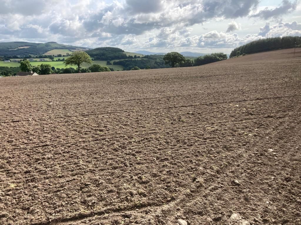 Weather woes for ABP Demo Farm's multi-species reseed