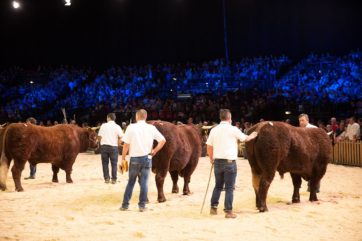 Major French agri-show 'Sommet' kicks off this week