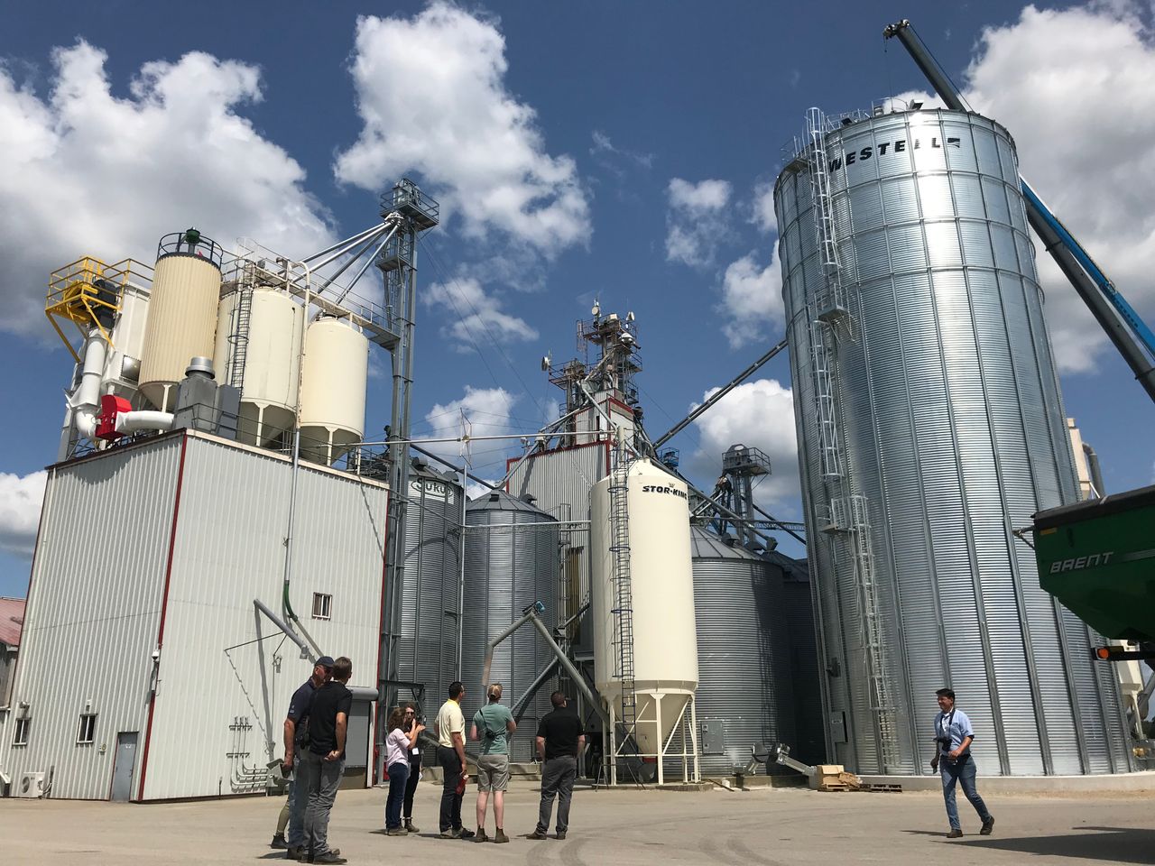 Watch: Cribit Seeds trialling and processing seed in Ontario