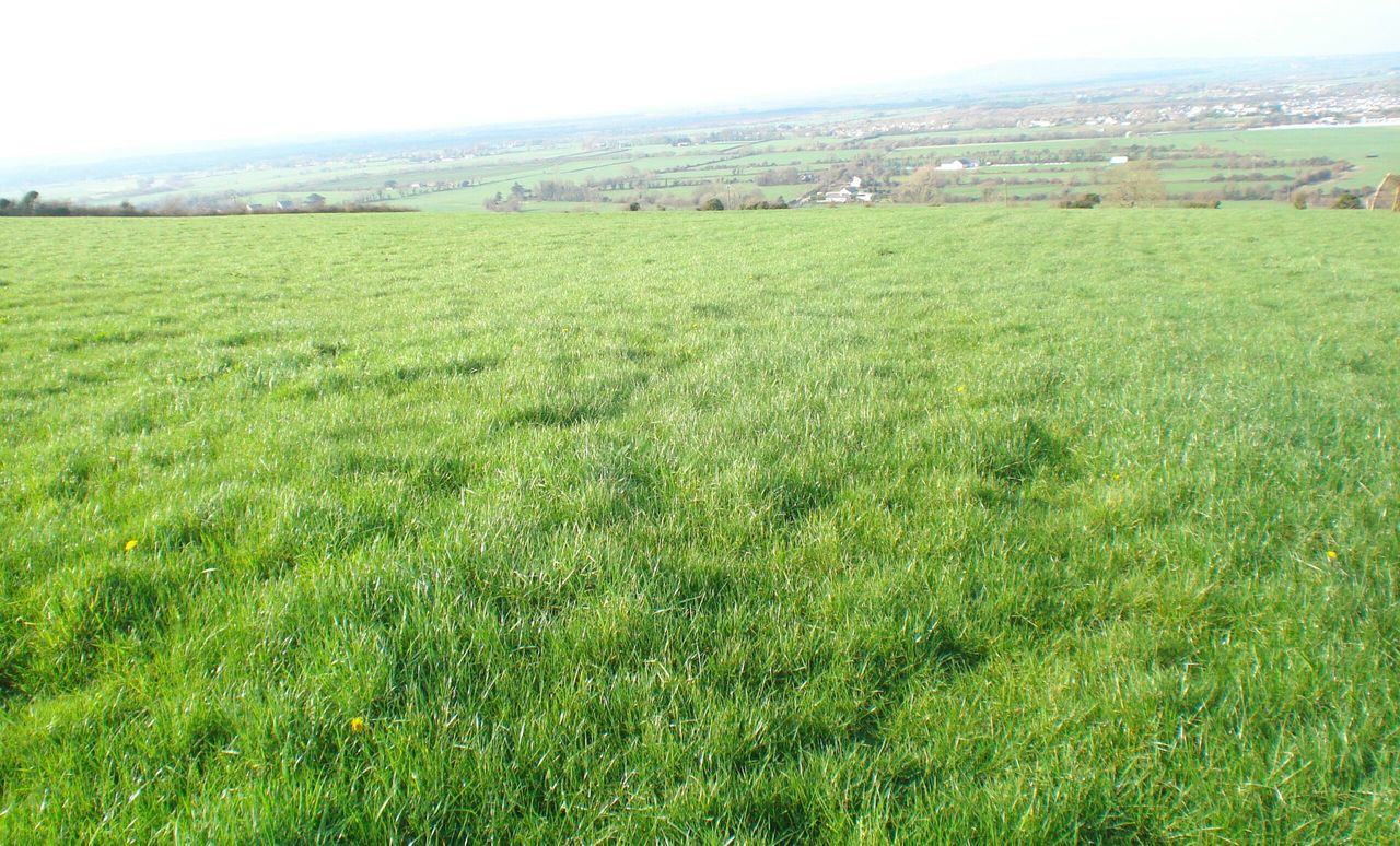 32.16ac residential holding with traditional farmyard to go for public auction